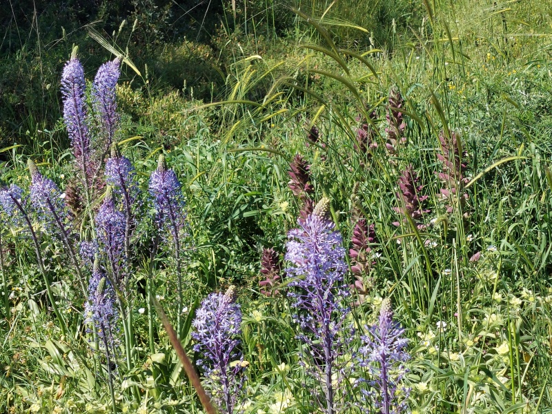 קובץ:2022-04-14T15 36 48.467233669329.jpg