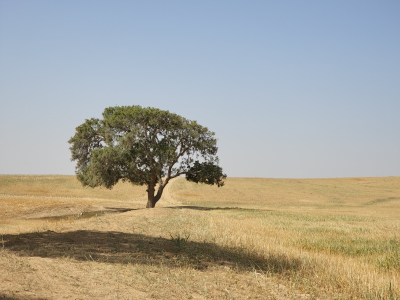 קובץ:2022-04-23T09 34 52.23022656861.jpg