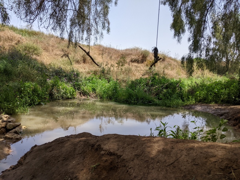 קובץ:2022-04-23T13 35 18.989891113947.jpg