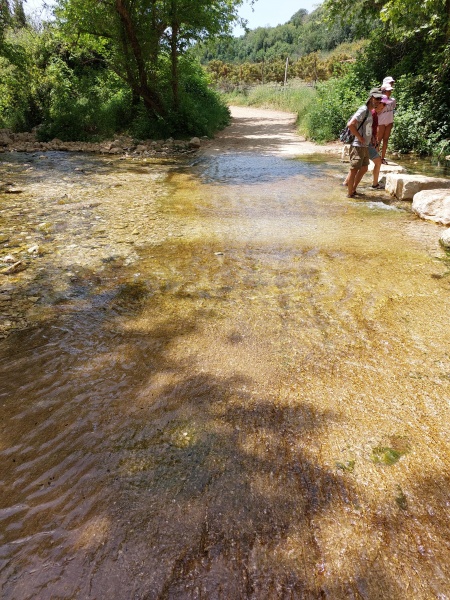 קובץ:2022-04-28T13 27 50.639419459434.jpg