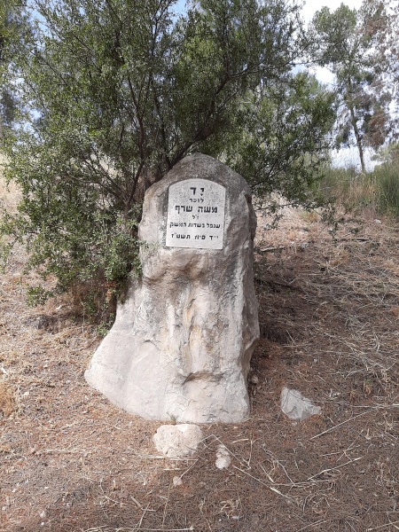 קובץ:2022-05-04T09 43 48.338212150018.jpg