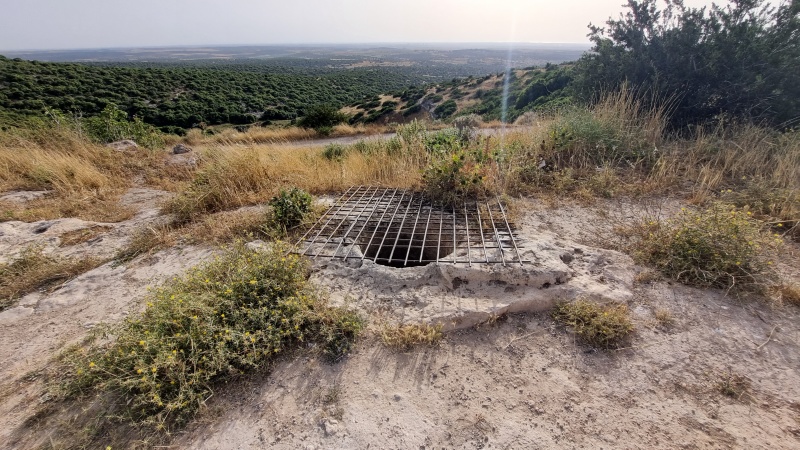 קובץ:2022-05-12T17 35 26.700106847512.jpg