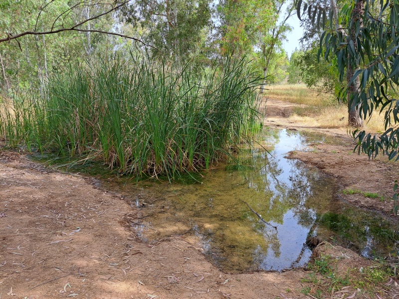 קובץ:2022-05-13T09 41 24.334505271632.jpg