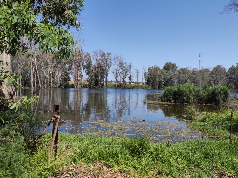 קובץ:2022-05-20T11 08 26.118363316590.jpg