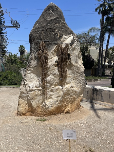 קובץ:2022-05-20T12 24 02.539647982378.jpg