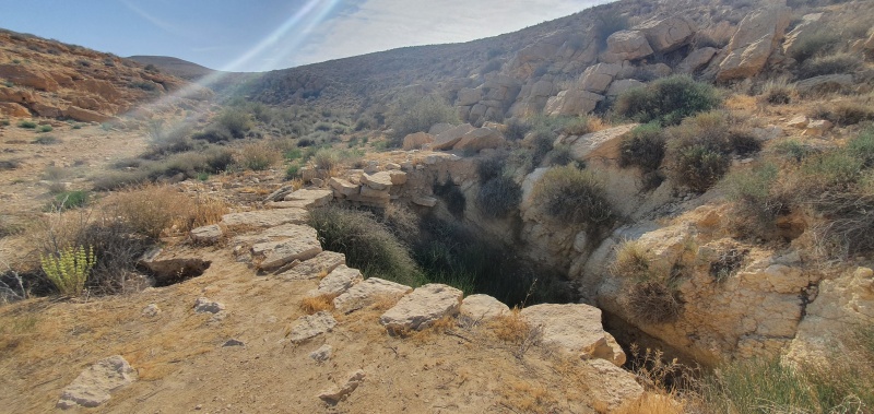 קובץ:2022-05-21T08 40 20.265846294967.jpg