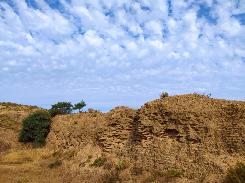 קובץ:2022-05-22T08 21 23.660394870846.jpg