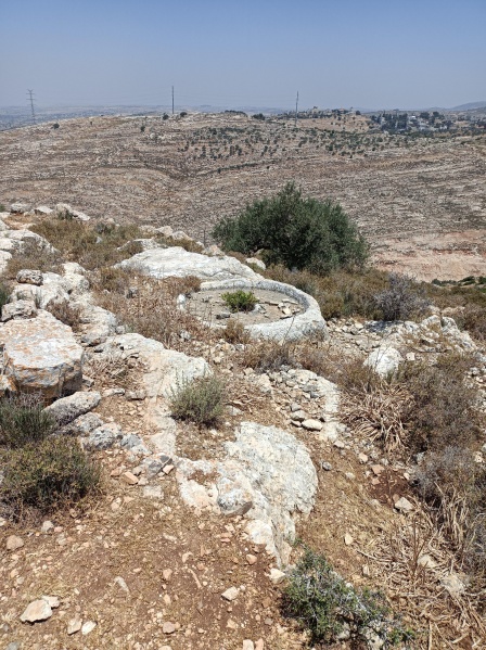 קובץ:2022-06-03T12 03 52.825142537225.jpg