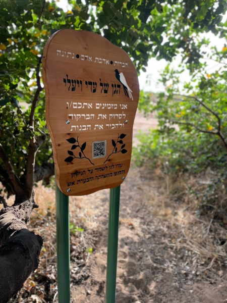 קובץ:2022-06-20T09 10 25.39096292133.jpg