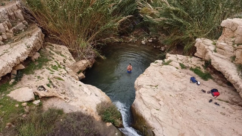 קובץ:2022-06-30T20 26 37.855139618194.jpg