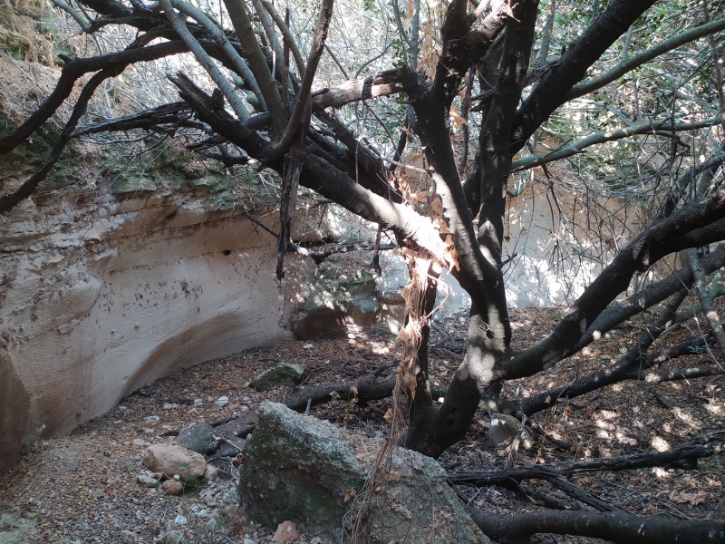 קובץ:2022-07-17T08 51 16.651379103875.jpg