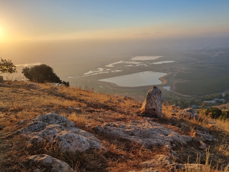 קובץ:2022-07-22T06 10 03.466812941064.jpg