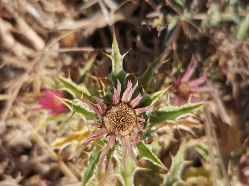 קובץ:2022-08-04T10 01 29.403281591197.jpg