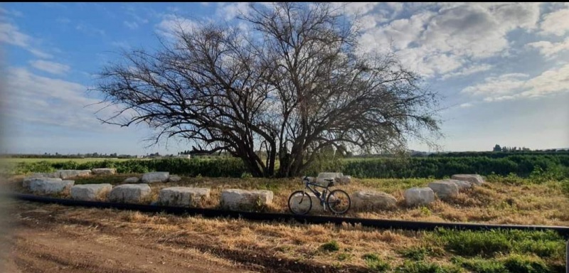 קובץ:2022-08-11T12 07 27.103089564192.jpg