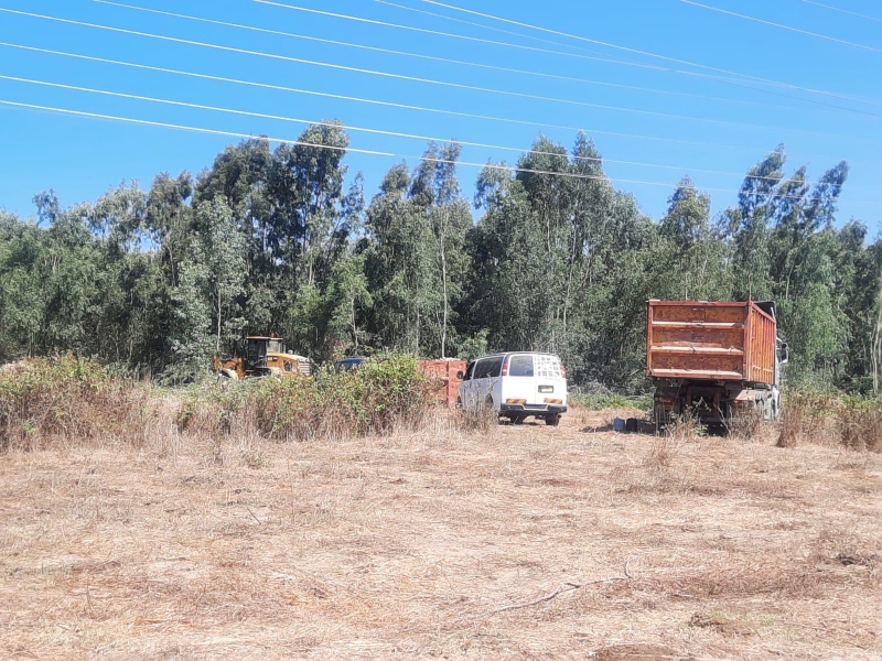 קובץ:2022-08-16T12 42 04.274012265562.jpg