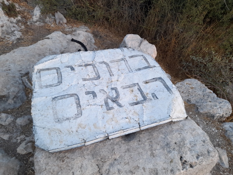 קובץ:2022-08-18T06 15 39.164341332148.jpg