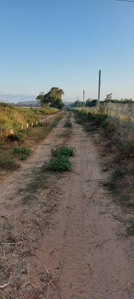 קובץ:2022-08-27T06 49 58.325492801760.jpg