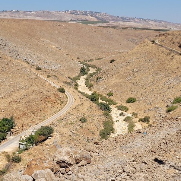 קובץ:2022-09-09T11 44 22.202601397016.jpg