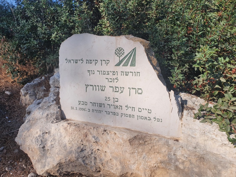 קובץ:2022-09-10T08 29 18.771078501393.jpg