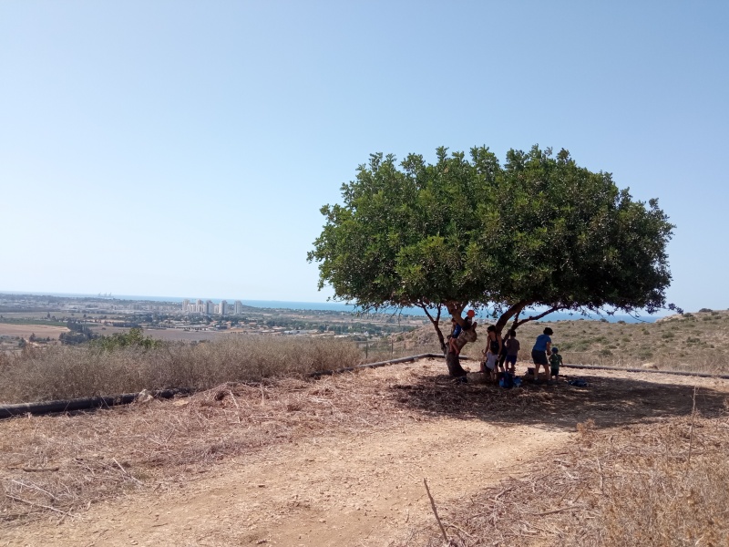 קובץ:2022-09-24T12 40 09.961119119213.jpg