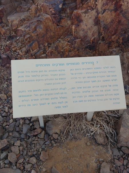 קובץ:2022-09-27T09 08 47.487125807281.jpg