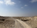 תמונה ממוזערת לגרסה מתאריך 06:38, 5 באוקטובר 2022