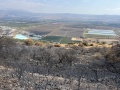 תמונה ממוזערת לגרסה מתאריך 05:41, 8 באוקטובר 2022