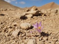 תמונה ממוזערת לגרסה מתאריך 14:42, 14 באוקטובר 2022