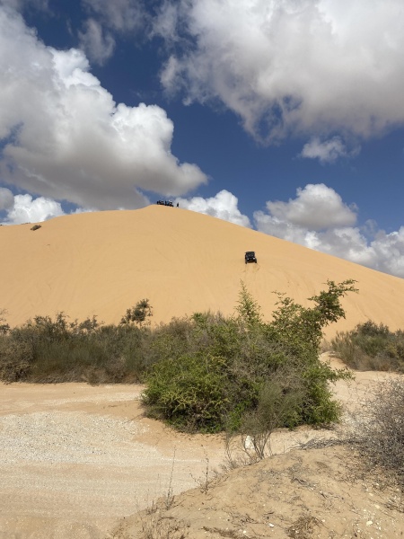 קובץ:2022-10-14T10 44 34.785023114428.jpg