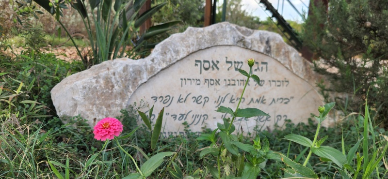 קובץ:2022-10-15T10 05 31.25032459848.jpg