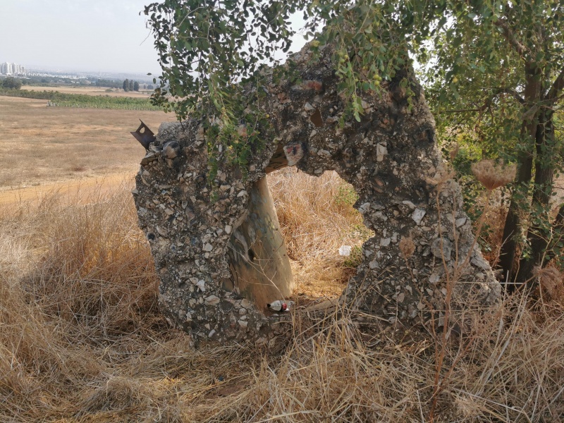 קובץ:2022-10-21T11 34 24.044843322530.jpg