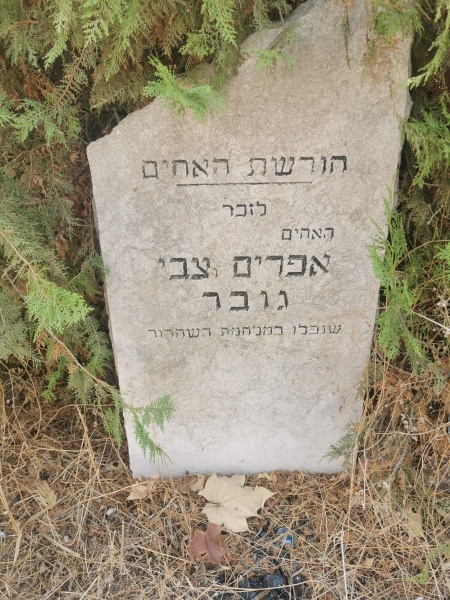 קובץ:2022-10-30T09 12 22.368695716904.jpg