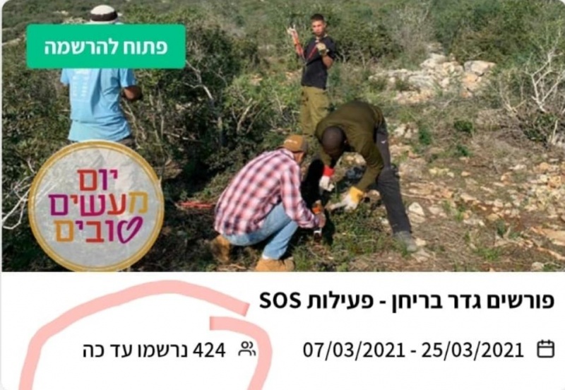 קובץ:2022-11-09T18 15 24.0695928637.jpg