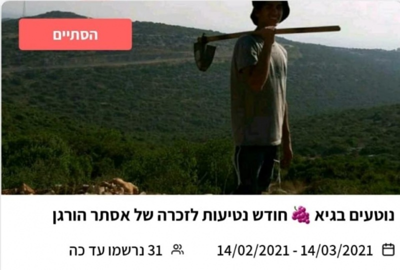 קובץ:2022-11-09T18 15 42.660147702785.jpg