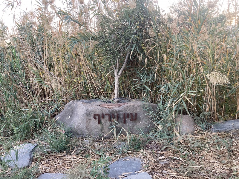 קובץ:2022-11-23T16 23 42.278538344726.jpg