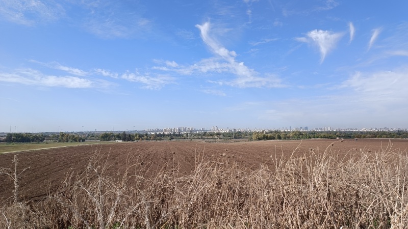 קובץ:2022-12-03T10 29 06.420726366714.jpg