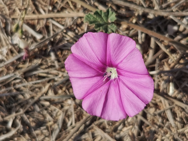 קובץ:2022-12-10T10 51 04.972509724402.jpg