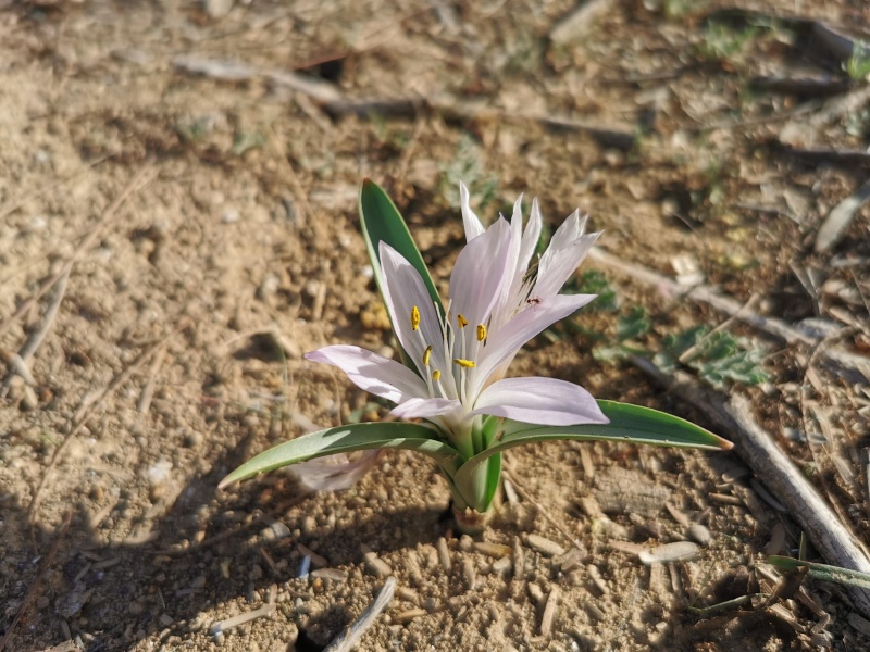 קובץ:2022-12-15T09 29 35.132657508989.jpg