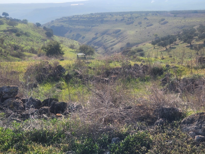 קובץ:2022-12-17T14 03 31.771105516590.jpg