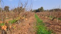 תמונה ממוזערת לגרסה מתאריך 07:39, 24 בדצמבר 2022