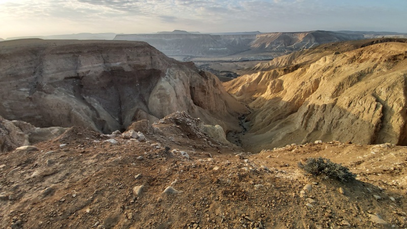 קובץ:2022-12-25T07 37 45.649893926388.jpg