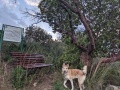 תמונה ממוזערת לגרסה מתאריך 14:08, 1 בינואר 2023