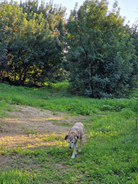 קובץ:2023-01-07T15 20 44.00096411198.jpg