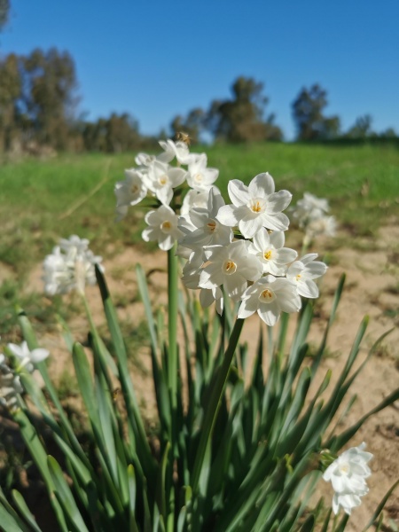 קובץ:2023-01-19T10 17 03.743844451294.jpg