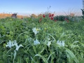 תמונה ממוזערת לגרסה מתאריך 17:33, 20 בינואר 2023