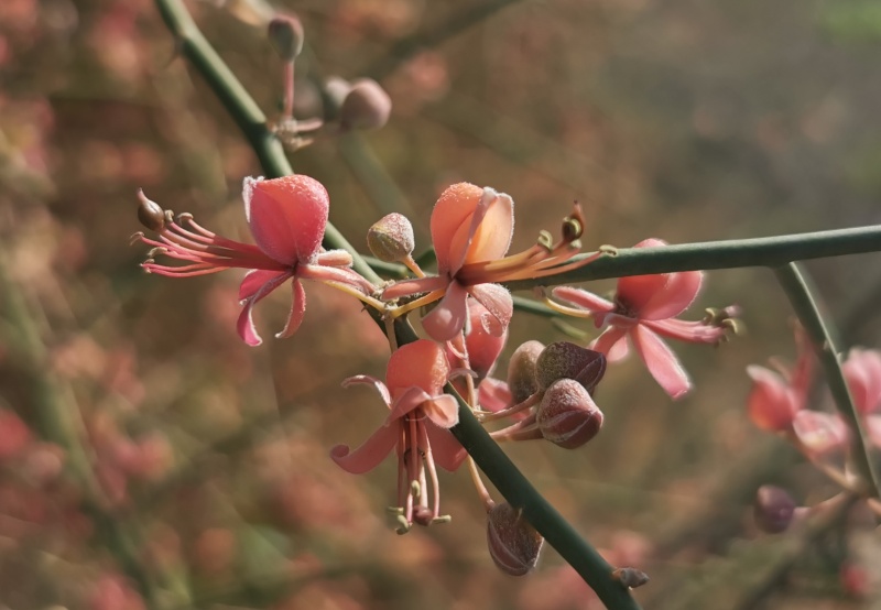 קובץ:2023-01-24T11 45 51.031823842112.jpg