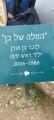 תמונה ממוזערת לגרסה מתאריך 09:46, 29 בינואר 2023