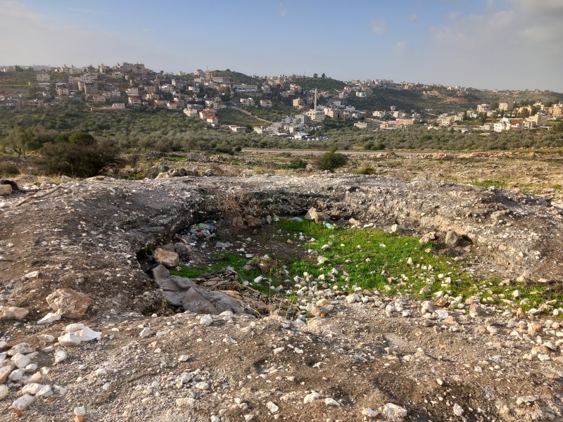 קובץ:2023-02-06T08 01 38.218481183316.jpg