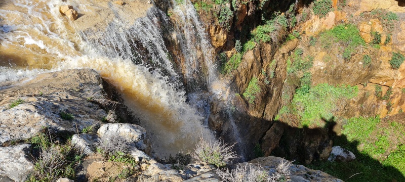 קובץ:2023-02-07T10 34 49.796632399675.jpg