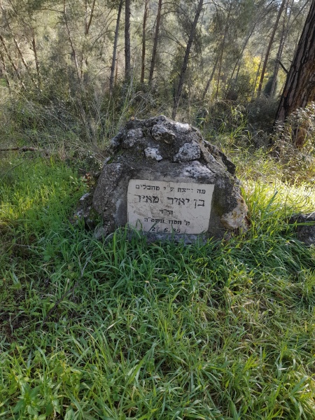 קובץ:2023-02-10T08 06 57.965689270712.jpg